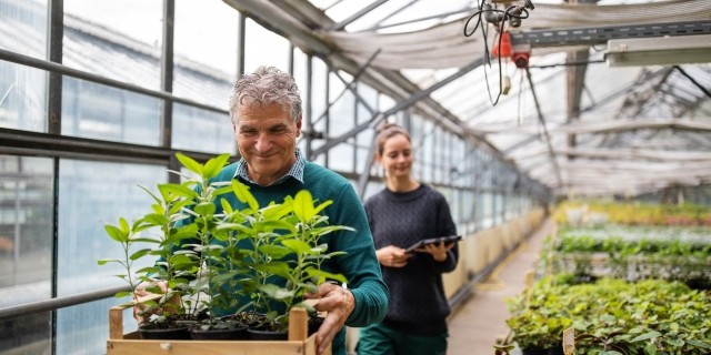 Couple carry plants in a greenhouse
